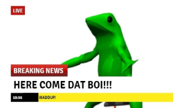 Dat boi