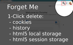 Forget Me - Clean History, Cookies & more