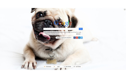 Pugs New Tab