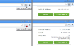 View IP address