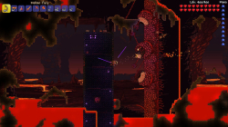 Terraria