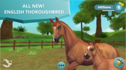 Star Stable Horses