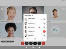 Cisco Webex Meetings