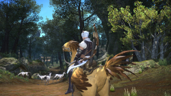 FINAL FANTASY® XIV: A Realm Reborn™