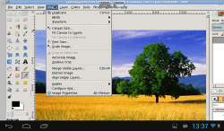 Gimp Image Editor