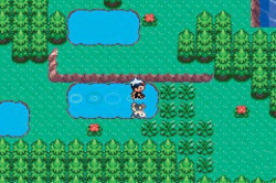 Pokemon Emerald