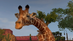 Zoo Tycoon