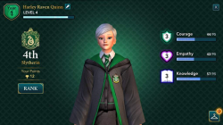 Hogwarts Mystery