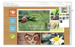 PicMonkey Extension