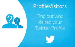 ProfileVisitors