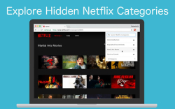 Netflix Categories