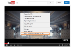 Flash Player for YouTube™