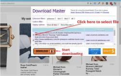 Download Master - Free Download Manager