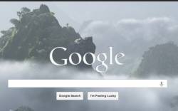 Background Image for Google™ Homepage